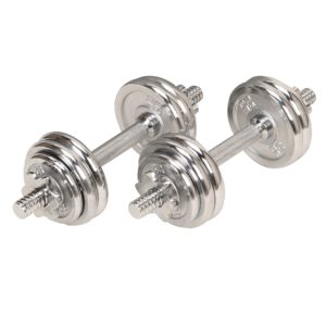 33-Pound Chrome Dumbbell Set